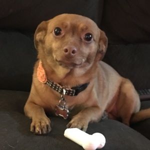 Meet your Posher, Mackenzie